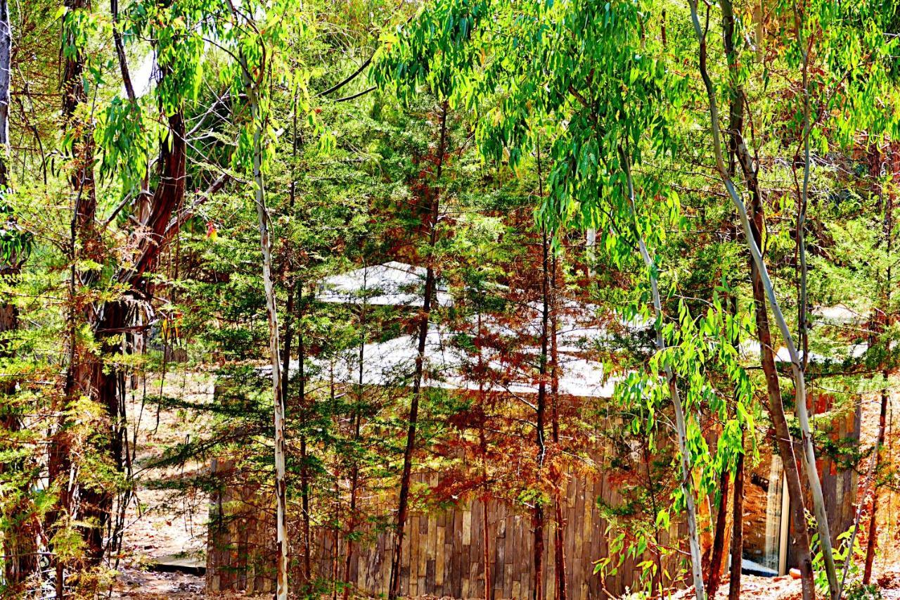 Herdade Clube Tiro Chalet Monfortinho