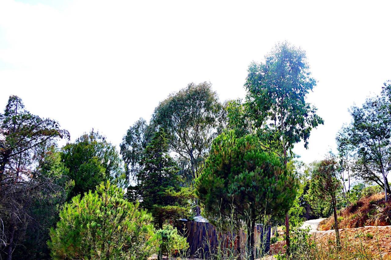 Herdade Clube Tiro Chalet Monfortinho